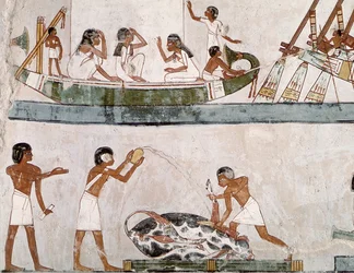 Opfer und Reinigung eines Stiers und ein Segelritual, aus dem Grab von Menna, Neues Reich
